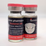quintrex pharmaceuticals sustanon 250mg australia