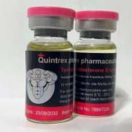 quintrex pharmaceuticals testosterone enanthate 250mg australia